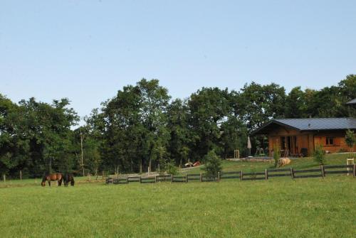 a horse grazing in a field next to a barn at Gîte des Conquettes in Salles-la-Source