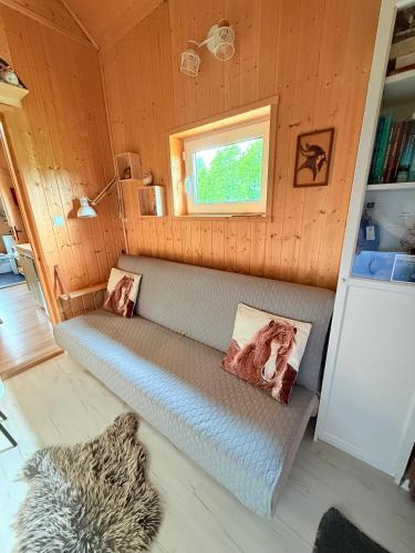 a room with a couch in a tiny house at Islandzka chatka- Jacuzzi i sauna w cenie in Mżyki
