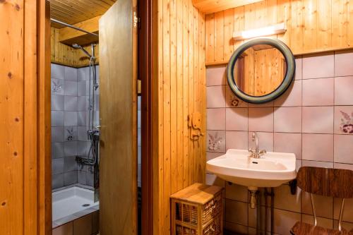 une salle de bain avec un lavabo, une douche et un miroir dans l'établissement Appartement Atypique, à La Bresse