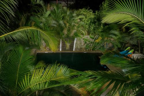 Gambar di galeri bagi Oasis Tropicale di Saint-Pierre