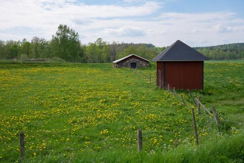 a smallshed sitting in a field of flowers at Råshults Gård in Vimmerby