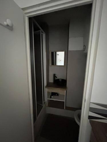 ヴィジーユにあるAppartement plein centreの部屋に洗面台とトイレが付いたバスルーム