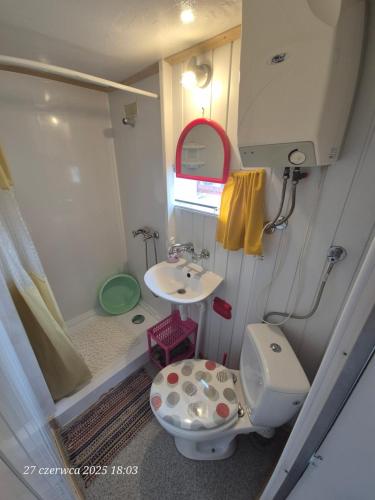 a small bathroom with a toilet and a sink at Dom Bursztynek - holender in Junoszyno