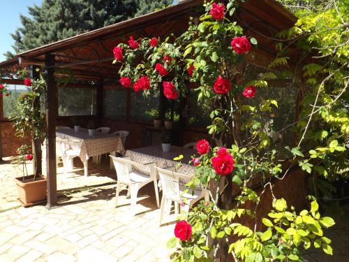Fotografie z fotogalerie ubytování Villa Lena v destinaci Turi