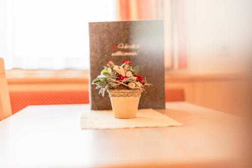 a potted plant sitting on top of a table at Alpenpension Pfurtscheller in Neustift im Stubaital