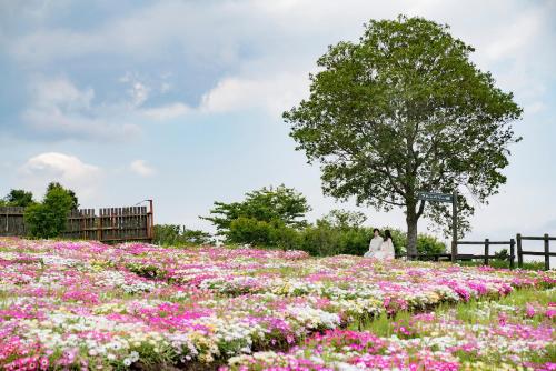 a couple walking through a field of flowers at くじゅう花公園 グランピングパーク花と星 in Kuju
