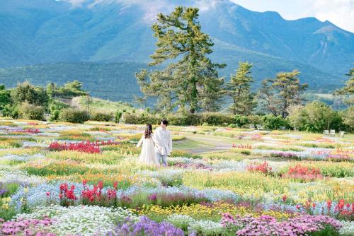 a couple walking through a field of flowers at くじゅう花公園 グランピングパーク花と星 in Kuju