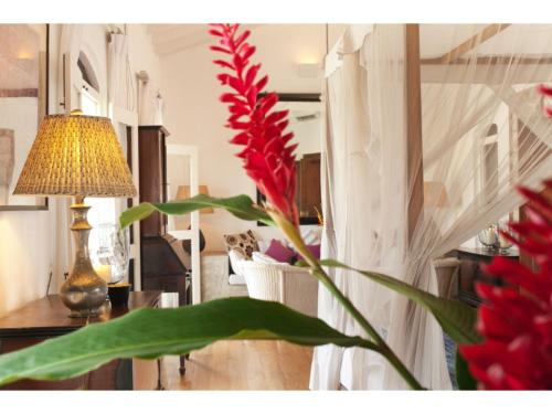 Imagen de la galería de Pool, Roof Terrace, 3 Bedroom Villa, Galle Fort, en Galle