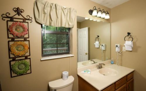 セバービルにあるTN Bear Denの洗面台、トイレ、鏡のあるバスルーム