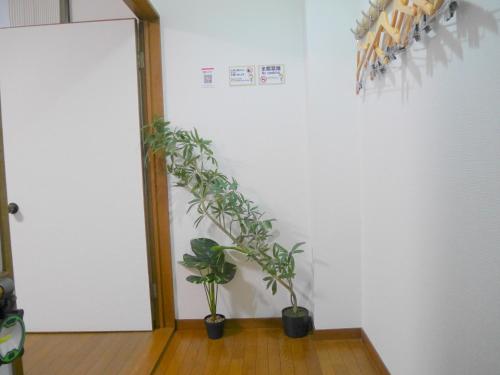大阪市にあるホテル北港通のギャラリーの写真