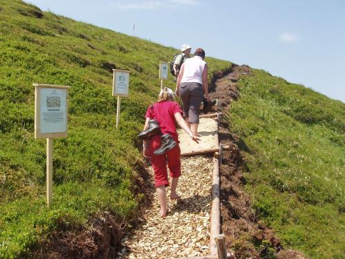 two people walking down a path on a hill at Ferienwohnung Schaupphof in Donnersbachwald