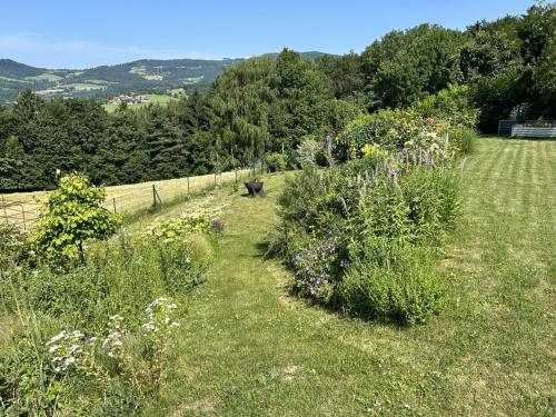 a field of grass with flowers and a fence at Ferienhaus Bernhard in Stubenberg