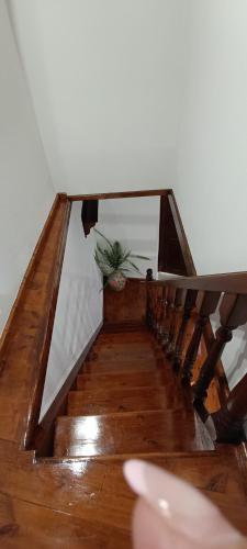 a wooden stairway with a potted plant on it at Hope Nest Pelion in Zagora