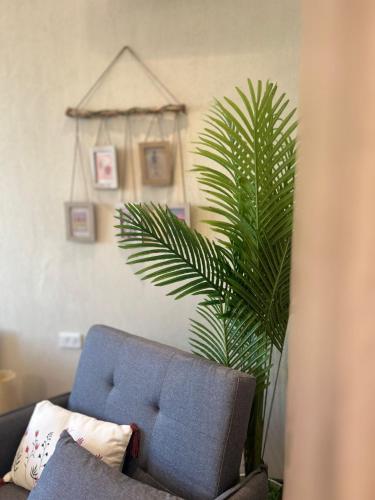 a living room with a blue couch and a plant at Pelikan Lake House in Shkodër