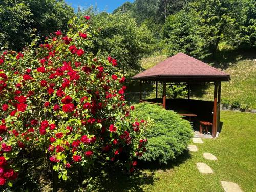a gazebo with a bunch of red flowers and a bush at Muszyńskie Zacisze in Muszyna