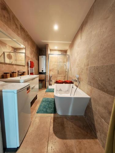 une salle de bain avec une baignoire et un lavabo dans l'établissement Le Studio Sainte Claire, à Annecy