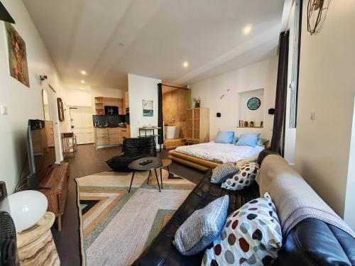 un salon avec un canapé et un lit dans l'établissement Le Studio Sainte Claire, à Annecy