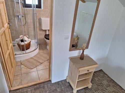 a bathroom with a toilet and a sink and a mirror at Casa Oaspeti Transfagarasan in Cîrţişoara