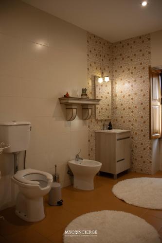 a bathroom with a toilet and a sink at Casa da Trapa in Oliveira de Azemeis
