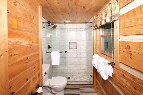 a bathroom with a toilet and a shower at Mountain Splendor 1250 in Gatlinburg