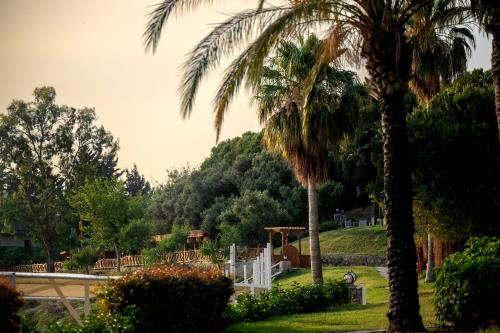 a palm tree in a park with a bridge at Oz Hotels Incekum Beach in Alanya