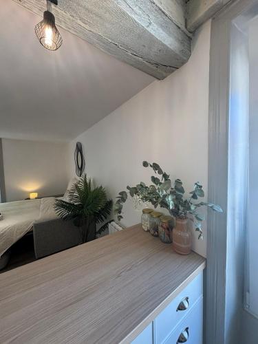 Studio Élégant Roanne في روان: غرفة نوم بها سرير وطاولة عليها نباتات