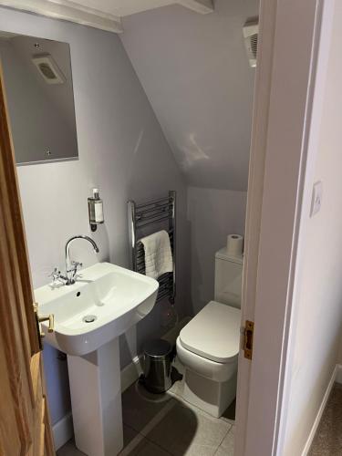a bathroom with a sink and a toilet at Dalmunzie Castle Hotel in Glenshee