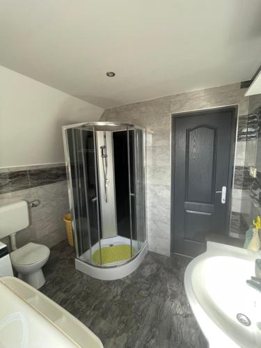 a bathroom with a shower and a toilet and a sink at Anett Wellis Apartman Poroszló in Pusztavacs