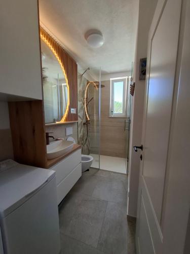 a bathroom with a shower and a sink and a toilet at Casa Bellea in Belej