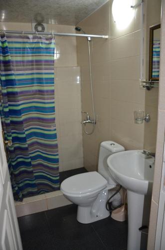 a bathroom with a toilet and a sink and a shower at TJ Guest House in Makhinjauri