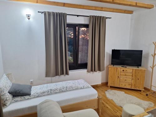a living room with a couch and a television at Casa Oaspeti Transfagarasan in Cîrţişoara