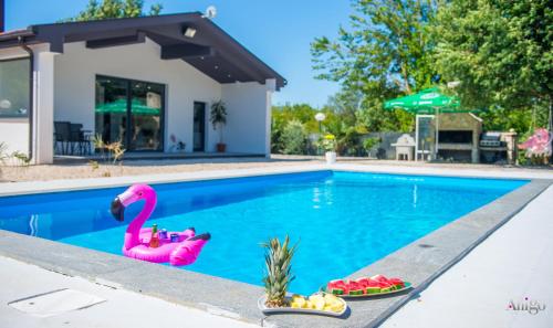 a swimming pool with a pink flamingo in the middle at Holiday Home Nova Lux in Mostar