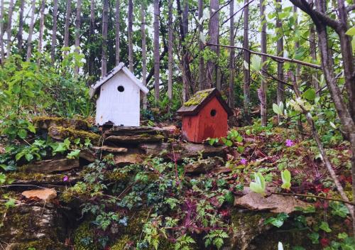 two birdhouses sitting on top of rocks in a forest at LA MAISON DES BOIS D'OCRE - Gîte Appart Design - Clim Pkg Wifi Jardin à 10mn de Dijon in Messigny-et-Vantoux