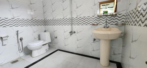 een witte badkamer met een wastafel en een toilet bij Adventure Sarai Skardu in Skardu