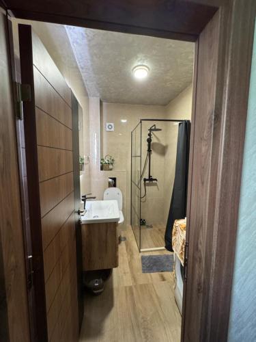a bathroom with a shower and a sink and a toilet at Kasia in Budva
