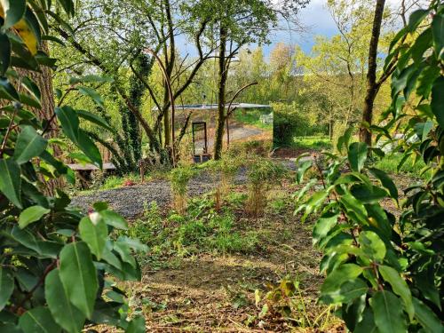 a garden with trees and a house in the background at Logement insolite miroir dans la nature avec hottub in Ohey