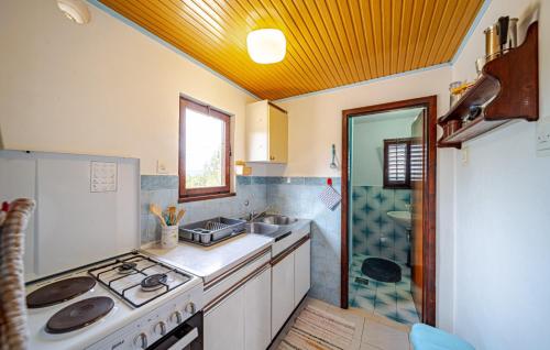 Il comprend une cuisine équipée d'une cuisinière et d'un évier. dans l'établissement Villa Jadranka by Villas Guide, à Otočić Ošjak