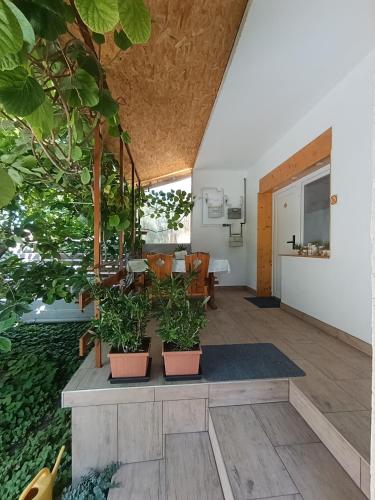 Pelso Holiday Apartments Hóvirág