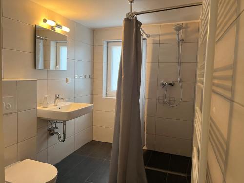 a bathroom with a sink and a toilet and a shower at Ferienhaus Wäschegrund in Sankt Andreasberg