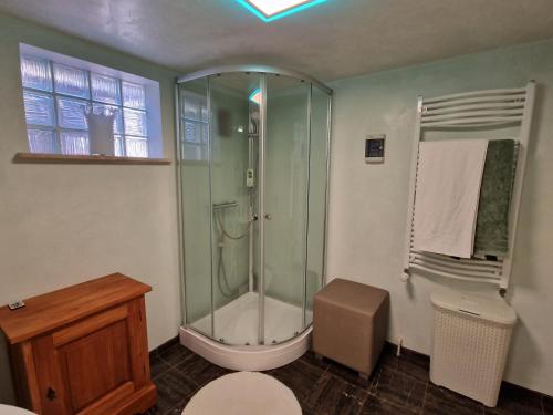 a bathroom with a shower and a toilet at Ferienhaus Anna mit Kamin, Terrasse, Hof & Garage in Haßloch