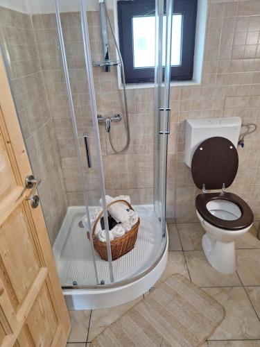 a bathroom with a shower with a toilet and a basket at Casa Oaspeti Transfagarasan in Cîrţişoara