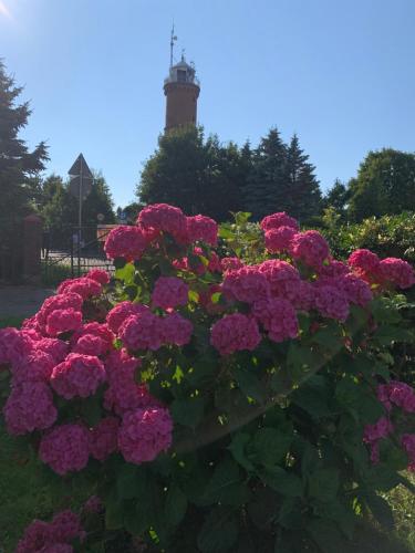 Pokoje Gościnne Wczasowa Jarosławiec