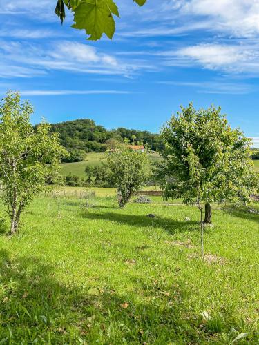 a field of green grass with trees in it at Villa À Isturits Avec Piscine in Isturits
