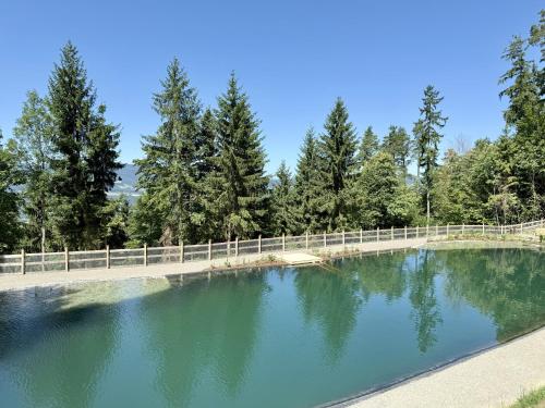 a large pool of water with trees in the background at Großes Ferienhaus mit 5 Schlafzimmer & 4 Bäder in Pöllauberg