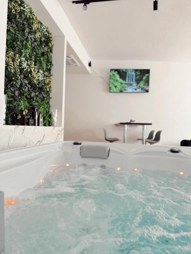 Kolam renang di atau dekat dengan RajRaj apartmani Gradiska