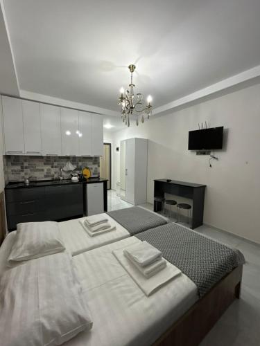 Kuchyň nebo kuchyňský kout v ubytování Giga Guest House