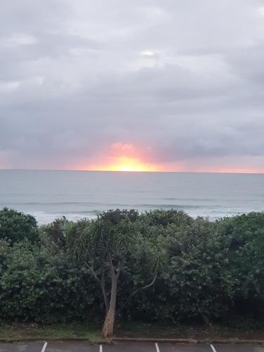 a sunset over the ocean with a tree at Deep Blue Guest House in Amanzimtoti