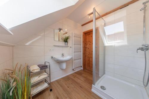 a bathroom with a shower and a sink at Hinrich`s Ostsee Bauernhof in Gremersdorf