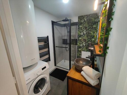 une salle de bain avec douche et machine à laver dans l'établissement Appartement Jungle climatisé Centre Ville, à Nîmes