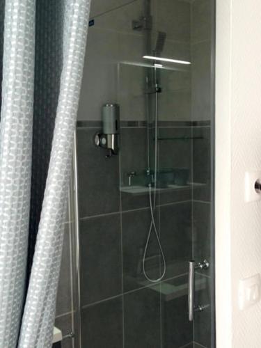 una doccia con porta in vetro in un bagno di Studio Hyper centre ville a Nantes